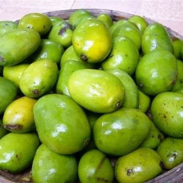 เมล็ด มะม่วงป่า เมล็ดพันธุ์ มะม่วงป่า กะล่อน 20เมล็ด 99 บาท สำหรับปลูก เพาะ