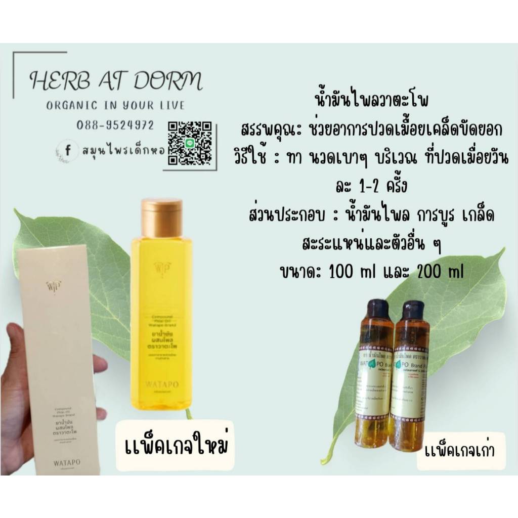 น้ำมันเหลือง นวดผ่อนคลาย ไพลวาตะโพ 100 และ 200ml (เปลี่ยนเเพ็คเกทใหม่)