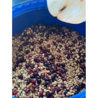 เมล็ดกาแฟคั่ว จอมใจ Jomjai selected yeast process 200 กรัม YAYO COFFEE : Doichang✅คั่วใหม่ ✅ส่งเร็ว✅บดฟรี