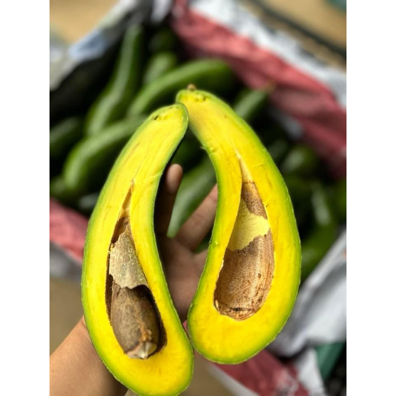 🔥ราคาถูก🔥 อะโวคาโด 034 🥑