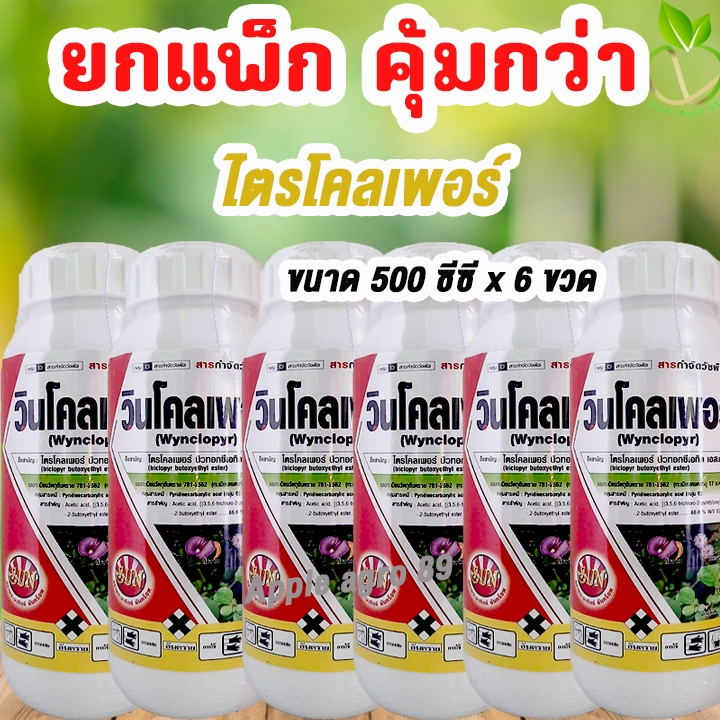 🔥ยกแพ็ก คุ้มกว่า ไตรโคลเพอร์ ขนาด 500 ซีซี x 6 ขวด ยาฆ่าตอไม้ ยาฆ่าตอ กำจัดหญ้าใบกว้าง กำจัดตอไม้