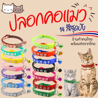 ปลอกคอแมว ปลอกคอหมา กระดิ่ง กระพรวน