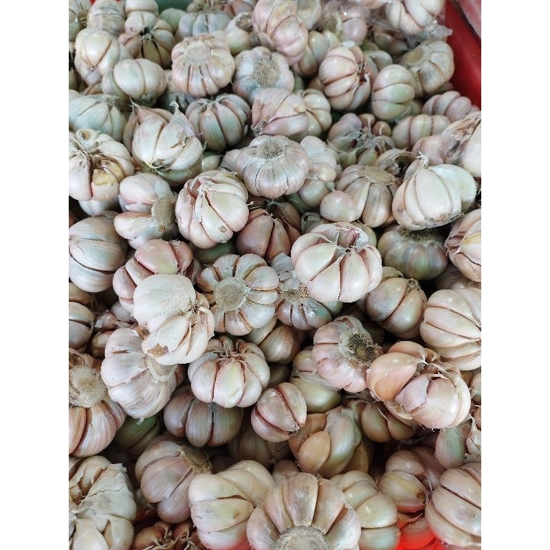 กระเทียมAAA กระเทียมจีนพร้อมส่ง