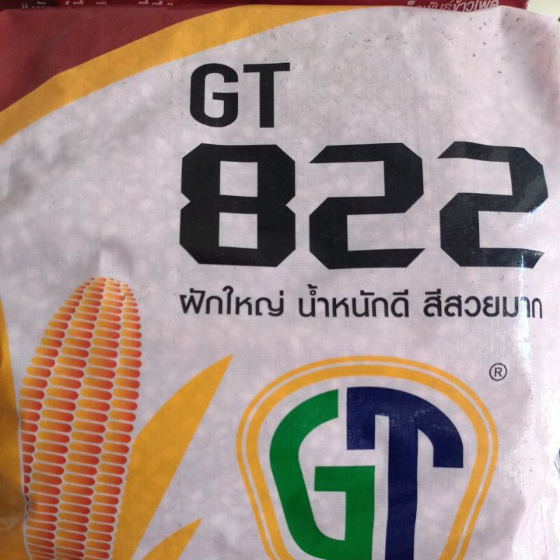 เมล็ดพันธ์ข้าวโพดGT822จีที822(3.5หุน)