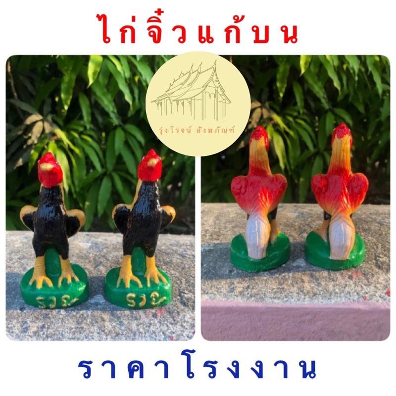 ไก่แก้บน ไก่ งานสวย ไก่ถวายไข่ ไก่ราคาถูก ราคาต่อ1ตัว ไก่นำโชค ขนาด 4.5 นิ้ว ถวายไอ้ไข่ แก้บน ราคาโรงงาน