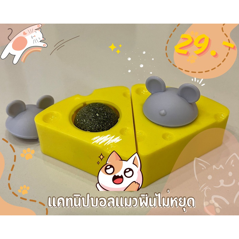 แคทนิปบอลแมวฟินไม่หยุด(Catnip Bliss Ball) กัญชาแมว สมุนไพรแมว มีแผ่นติดกำแพง