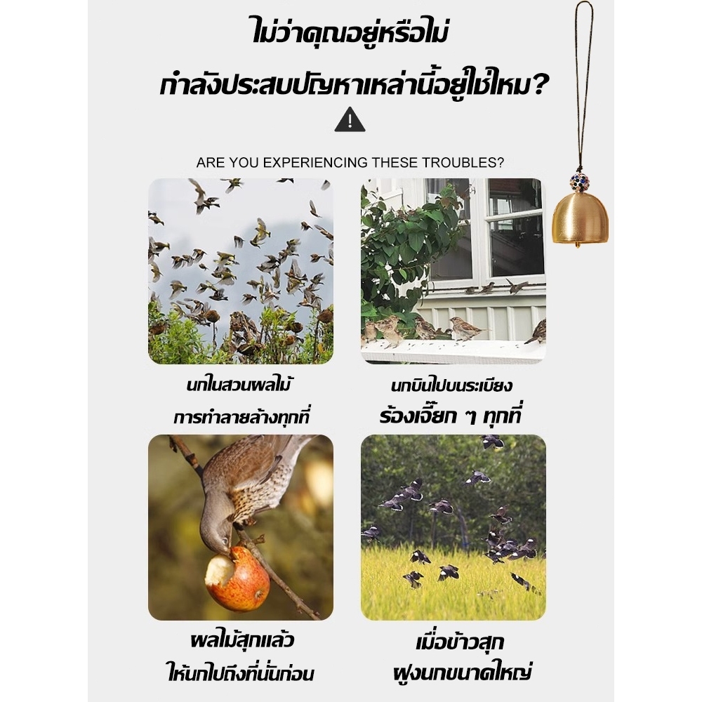 🔥นกระเบียงไม่มา🔥10000เมตรไม่มีนก ก้อนไล่นกพิราบ ไม่เป็นอันตรายต่อหญิงตั้งครรภ์และเด็ก 360 °ที่ไล่นก ไล่นกพิราบ - รูปที่ 2