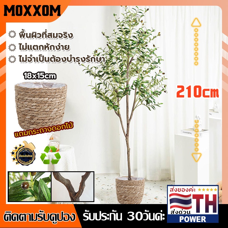 ส่งของในไทย ต้นมะกอกปลอม พร้อมกระถาง กระถางดอกไม้ทอ ลำต้นสีน้ำตาลเหมือนของจริง ต้นมะกอกโอลีฟ ต้นไม้ปลอมขนาดใหญ่