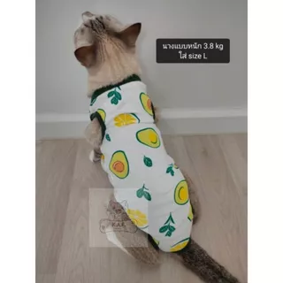 (HP02-03)เสื้อทำหมันสัตว์เลี้ยง เสื้อผ่าตัดกันเลียแผล (พร้อมส่งจากไทย!!) เสื้อแต่ละลายขนาดไม่เท่ากัน อ่านsizeก่อนสั่ง!