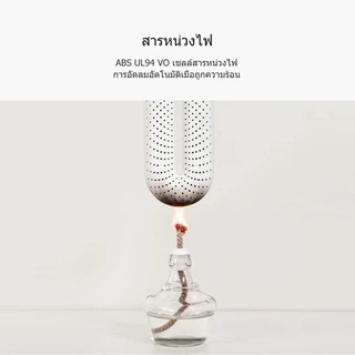 Xiaomi Youpin Sothing เครื่องเป่ารองเท้า กำจัดกลิ่น แห้งไร้กลิ่นอับชื้น