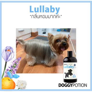 Doggy Potion Lullaby Shampoo ขนาด 500ml&2000ml