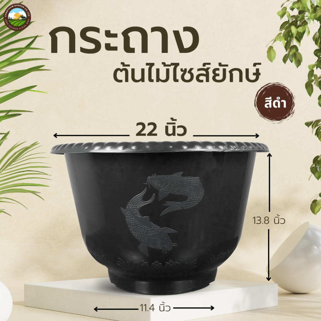 กระถางต้นไม้ไซส์ยักษ์ สีดำ อ่างบัวพลาสติก แบบหนา อ่างเลี้ยงปลา  อ่างเลี้ยงบอล อ่างเลี้ยงกล้วย
