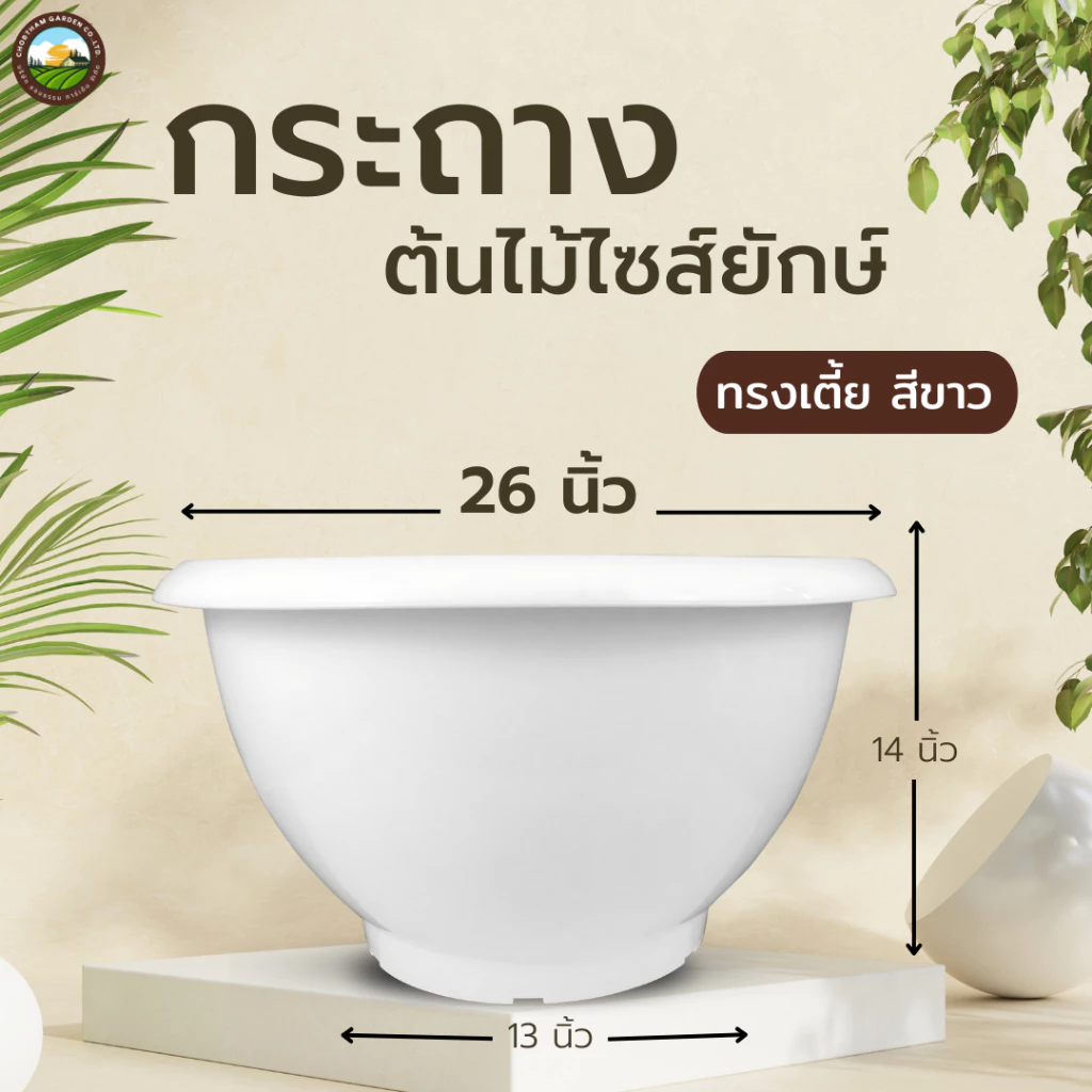 กระถาง 26 นิ้ว กระถางไซร์ยัก อ่างบัว หนาพิเศษ ทรงเตี้ย