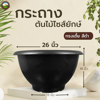กระถาง 26 นิ้ว กระถางไซร์ยัก อ่างบัว หนาพิเศษ ทรงเตี้ย