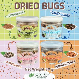 หนอนนกอบแห้ง จิ้งหรีด สะดิ้ง หนอนไหมอบแห้ง ผักผลไม้อบแห้ง สำ…