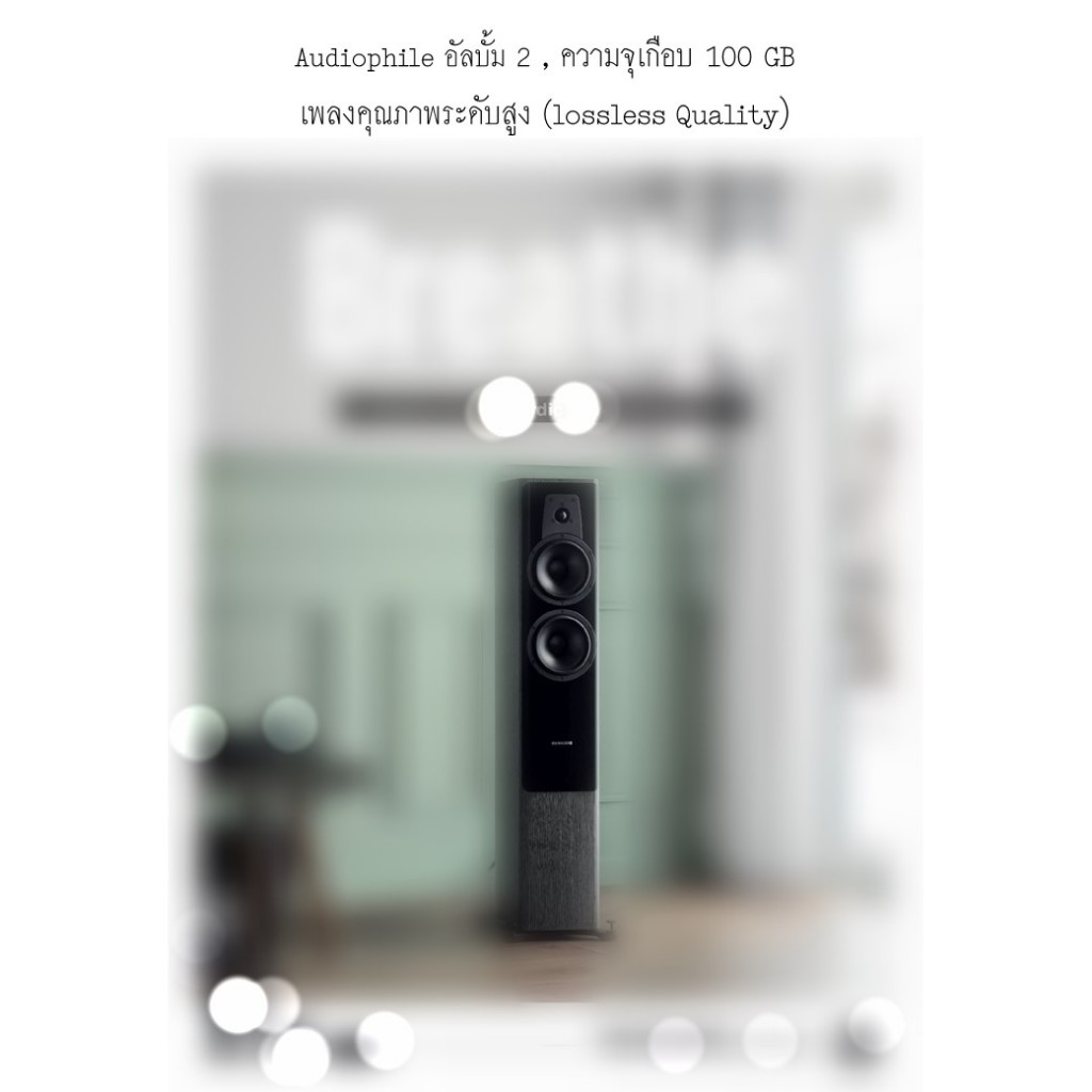 USB Hi-Res Audio เพลง , USB เพลงฮิต , คุณภาพระดับ Audiophile #2