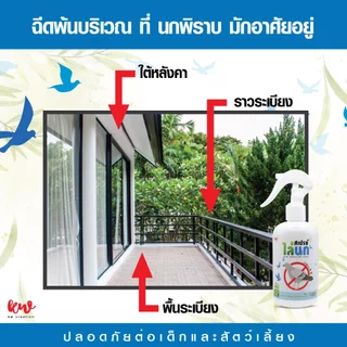 สเปรย์ไล่นกพิราบ สูตรเข้มข้น rwbss10041240567