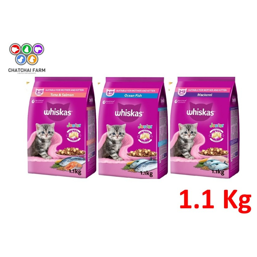 Whiskas Junior 1.1kg อาหารแมววิสกัส จูเนียร์ สำหรับลูกแมว 2 - 12 เดือน
