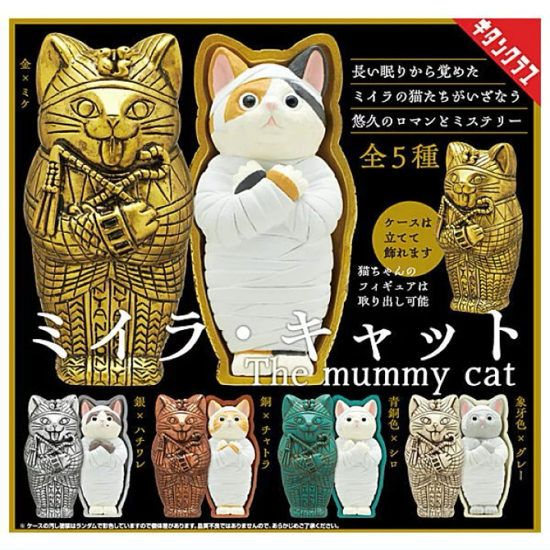 Set Mummy Cat ครบชุด5แบบ!!