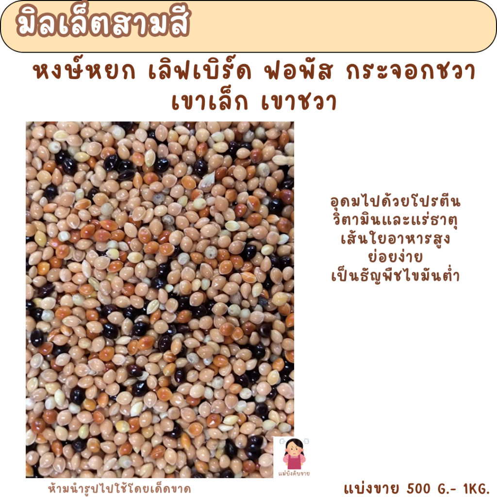 มิลเล็ตสามสี  (แบ่งขาย 200-500G.) อาหารนกหงษ์หยก ฟอพัส เลิฟเบิร์ด ค็อกคาเทล เขาเล็ก เขาชวา