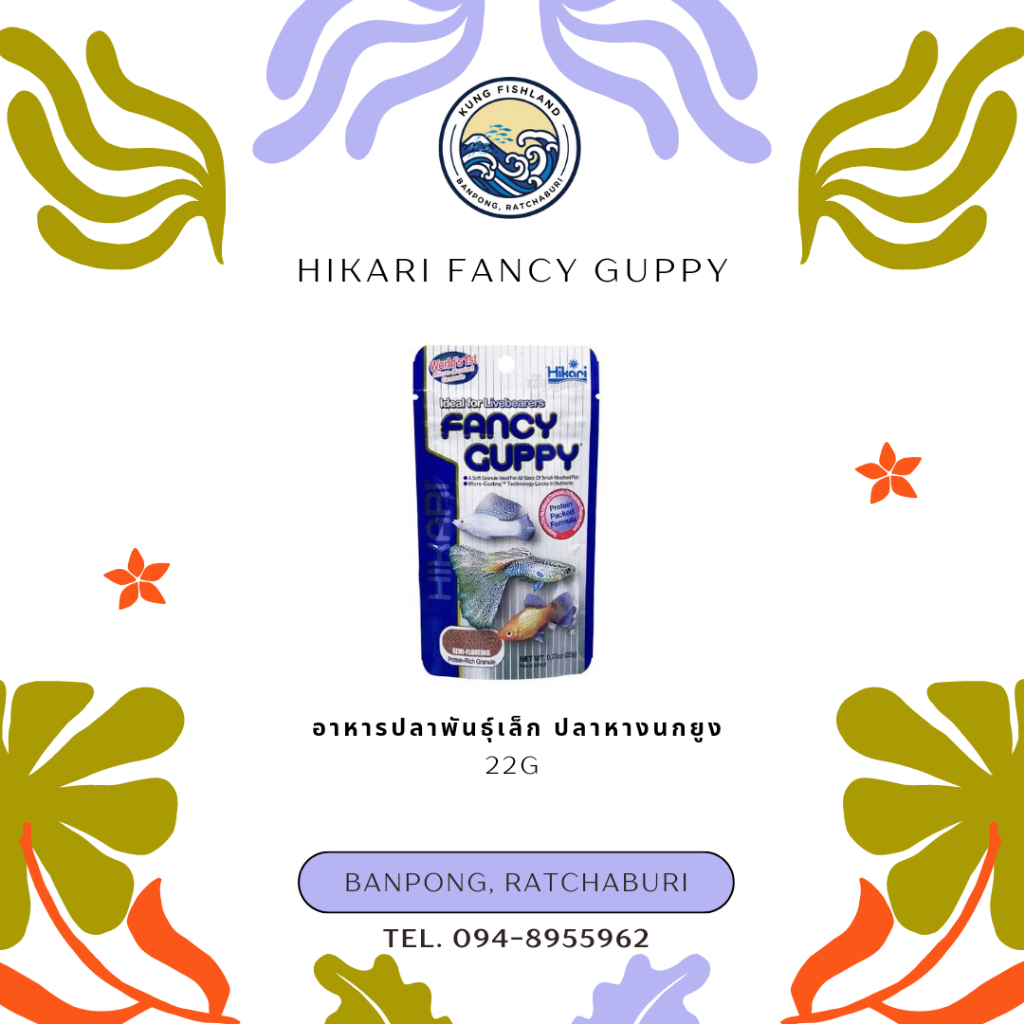 Hikari Fancy Guppy 22 g. อาหารปลาพันธ์ุเล็ก ปลาหางนกยุง (มีกลิ่นหอมของปลาหมึก)