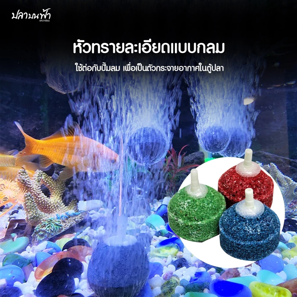 หัวทรายเพิ่มออกซิเจนสำหรับตู้ปลา ตู้กุ้ง สัตว์น้ำทุกชนิด ฟองแรง ออกทุกรู ฟองไม่ใหญ่เกินไป ปลาไม่ตกใจ thumbnail 3
