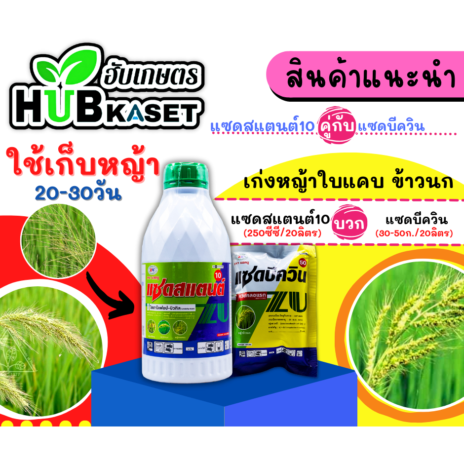 ชุดเก็บหญ้า แซดสแตนด์10+แซดบีควิน 1ลิตร+100กรัม (ไซฮาโลฟอป+ควินคลอแรก) เก่งใบแคบ หญ้าข้าวนก