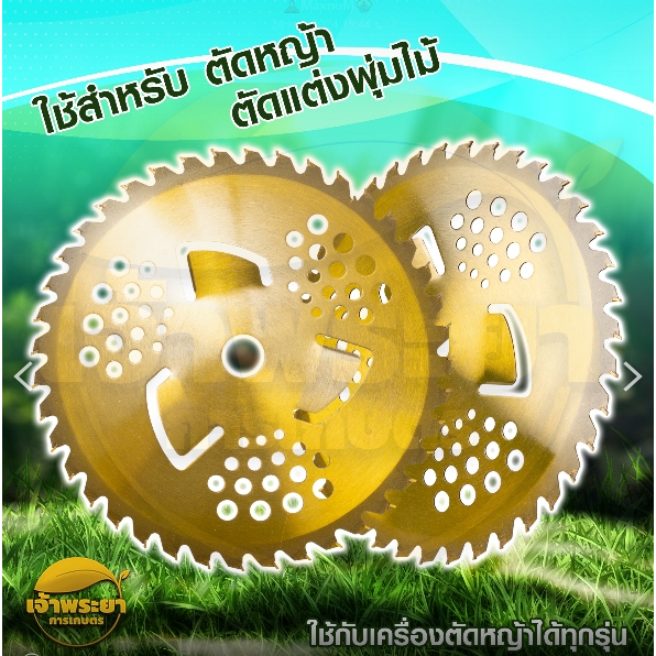 ใบตัดหญ้าสีทอง กันหญ้าพัน ตัดไม้ วงเดือน 10 นิ้ว 40 ฟัน คมจัด ของแท้จริง