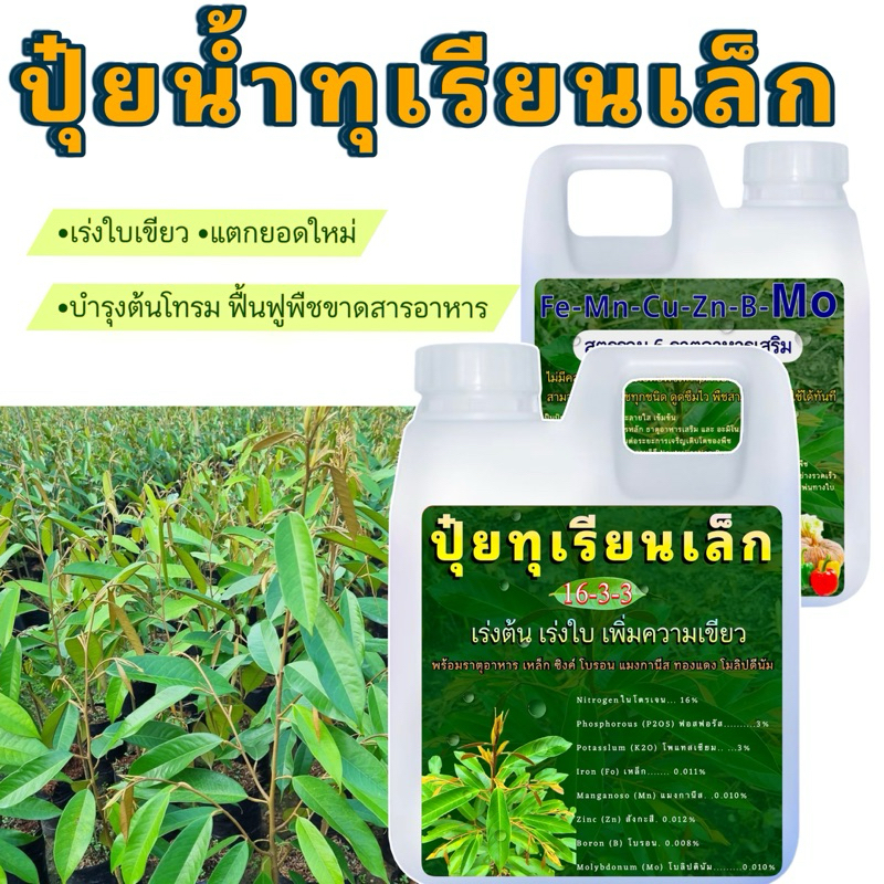 ปุ๋ยต้นทุเรียนเล็ก 1 ลิตร แตกยอดใหม่ เร่งใบเขียว🌳