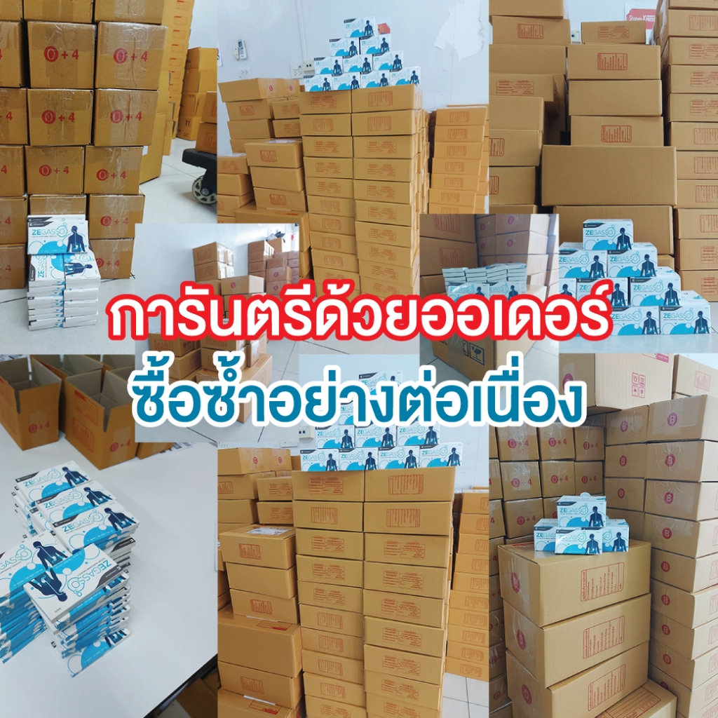 Ze-Gasso สมุนไพรขับลม ลดแน่น–อืด จุกเสียด | ช่วยย่อย หลังอาหาร | 12 แผง (120 แคปซูล) - รูปที่ 6