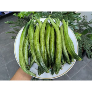 เมล็ดพันธุ์บวบงู นาคี 5 เมล็ด
