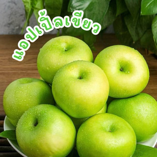พร้อมส่ง‼️ (5ลูก/10ลูก) แอปเปิ้ลเขียว นำเข้า