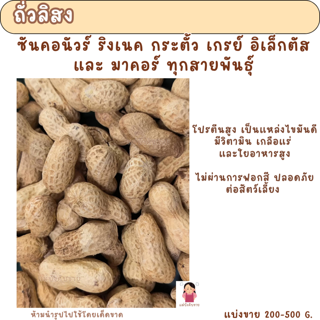 ถั่วลิสง (แบ่งขาย 200-500G.) อาหารนกแก้ว และ สัตว์ฟันแทะ