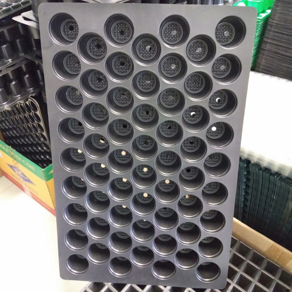 ถาดเพาะ (ราคาต่อ 1 ถาด) 60 หลุม 100 หลุม 104 หลุม 105 หลุม  200 หลุม ถาดเพาะไฮโดร 80 หลุม