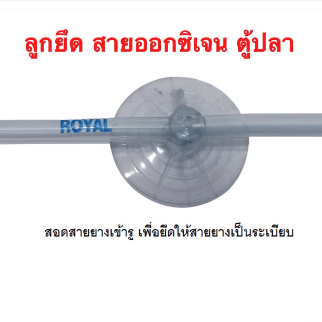 ลูกยึด ตัวยึดสายออกซิเจน ตู้ปลา อุปกรณ์
