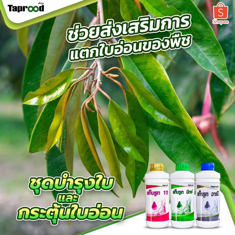 ชุดกระตุ้นใบอ่อน และบำรุงใบ [แท็บรูท 15+มิกซ์+อาร์บี] - รูปที่ 2