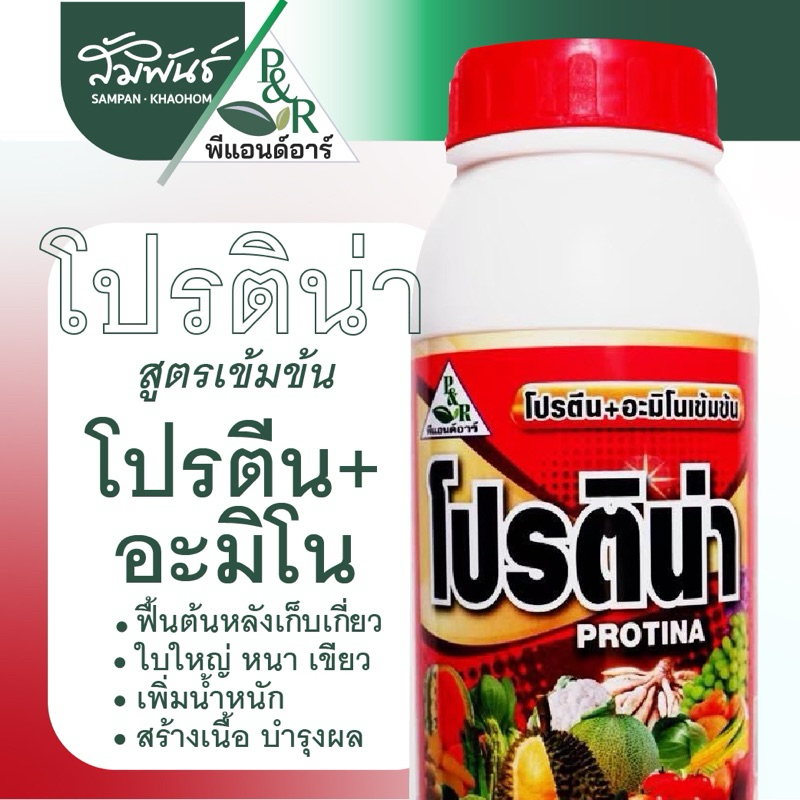 โปรติน่า โปรตีน อะมิโน ฟื้นต้น ทำใบ บำรุงใบใหญ่เขียวเข้ม พีแอนท์อาร์ เดลตร้า