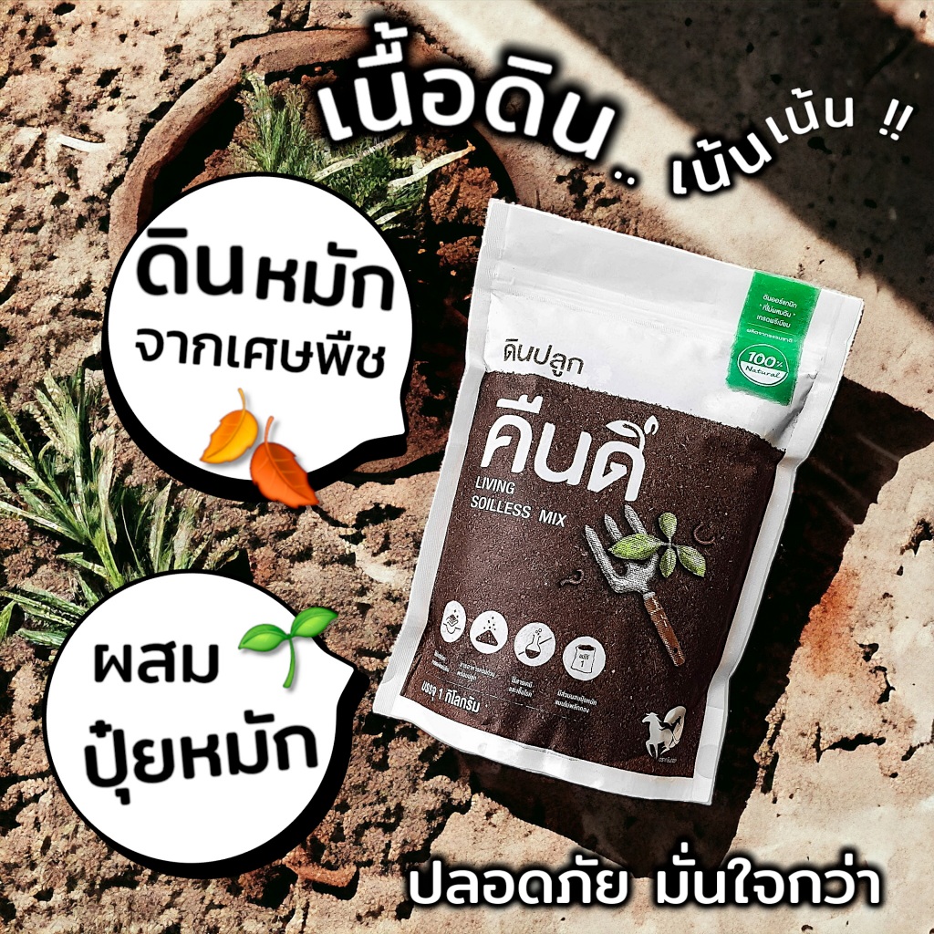 ส่งฟรี ‼️ | ดินปลูกต้นไม้ “ที่ไม่ผสมดิน” คืนดี (Soilless Mix) | เนื้อดินจากเศษพืชหมัก ปลอดสารเคมี