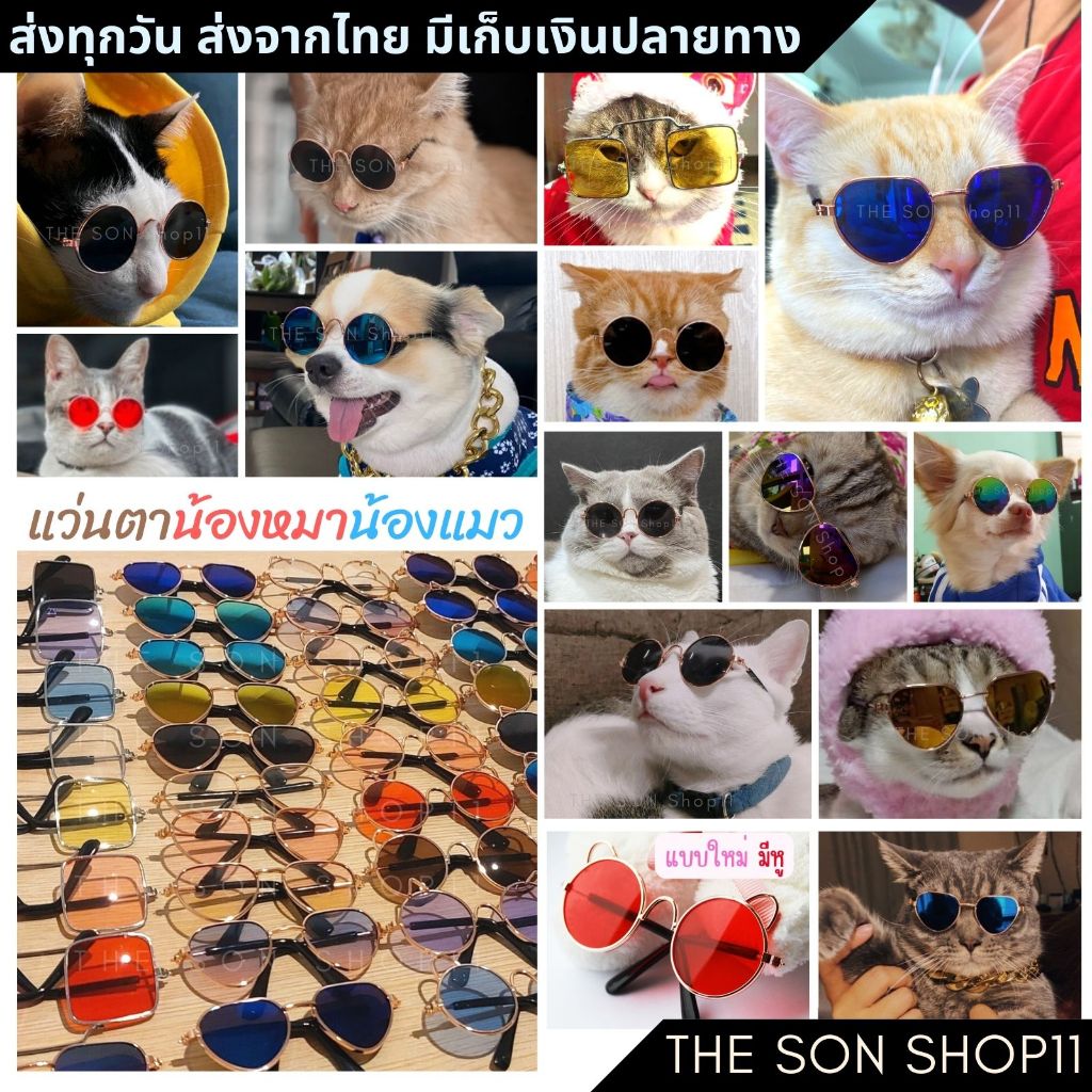 แว่นแมว แว่นสุนัขพันธ์เล็ก แว่นสัตว์เลี้ยง แว่นตุ๊กตา พร้อมส่งจากไทย