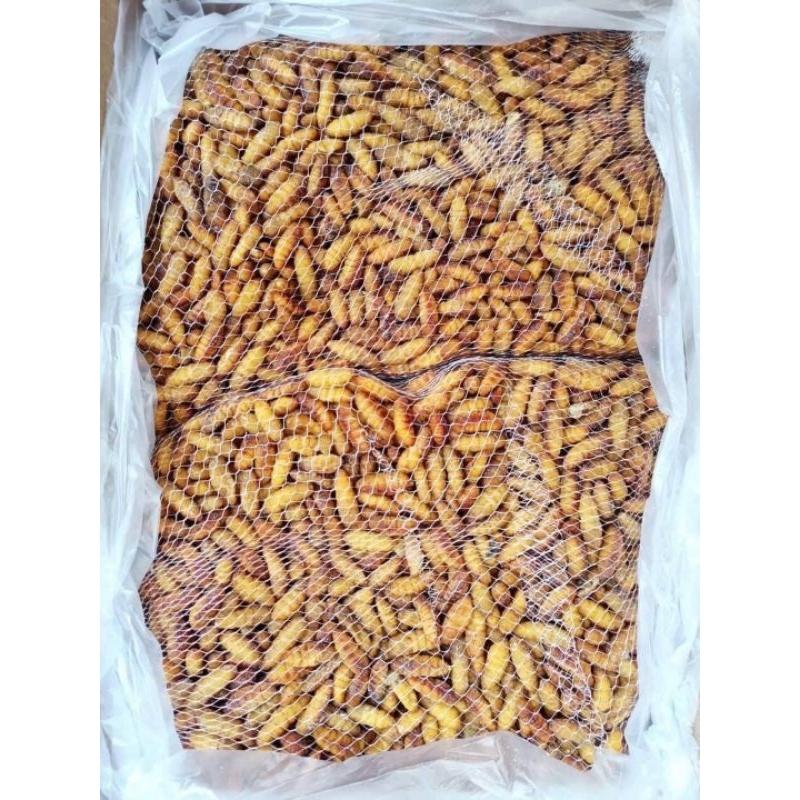 ดักแด้(หนอนใหม)500กรัมกับ1กิโล