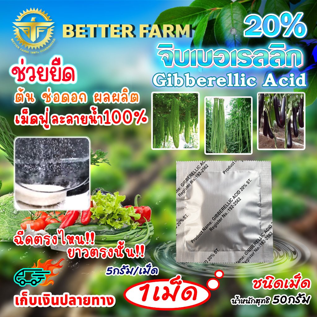 จิ๊บเม็ด จิบเบอเรลลิน จิบเบอเรลลิก แอซิด ชนิดเม็ด Gibberellic Acid 20%(GA3) เม็ดฟู่ละลายน้ำ100% / มีหลายตัวเลือก