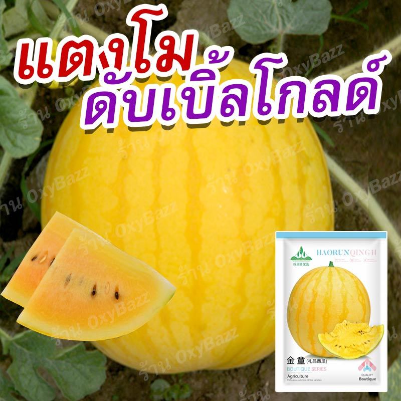 เมล็ดพันธุ์แตงโมดับเบิ้ลโกลด์ 20 เมล็ด เมล็ดแตงโมผลกลม ผิวเหลือง เนื้อเหลือง เมล็ดแตงโมดับเบิ้ลโกลด์ แตงโมสีทอง