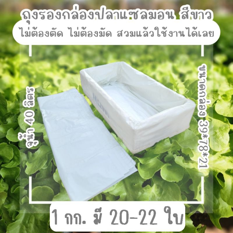 ถุงรองกล่องโฟม ปลาแซลมอนสีขาว (แพ็ค 1 กก.มี 20-22 ใบ)