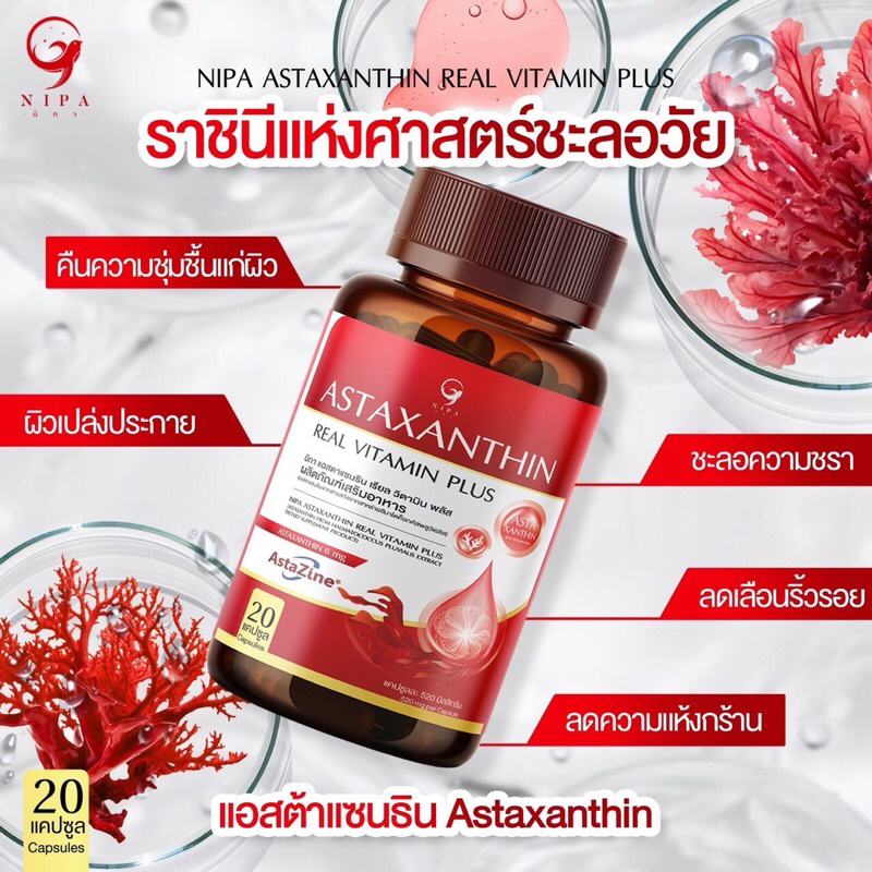 Nipa Astaxanthin +6mg (นิภา แอสต้าแซนธิน เรียลวิตามินพลัส) [1 กป 20 แคปซูล ;520มก/แคปซูล] ฝ้ากระ จุดด่างดำ ริ้วรอย จางลง