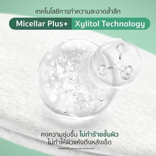 (ขวด) Plantnery CICA Micellar Sensitive Cleansing Water 500 ml แพลนท์เนอรี่ซิก้า ไมเซล่า