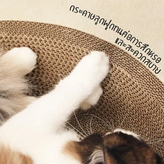 TUBI ที่ลับเล็บแมว รูปอ่าง ที่ฝนเล็บแมว ของเล่นแมว เป็นที่นอนแมวไปในตัว ที่ข่วนเล็บแมว