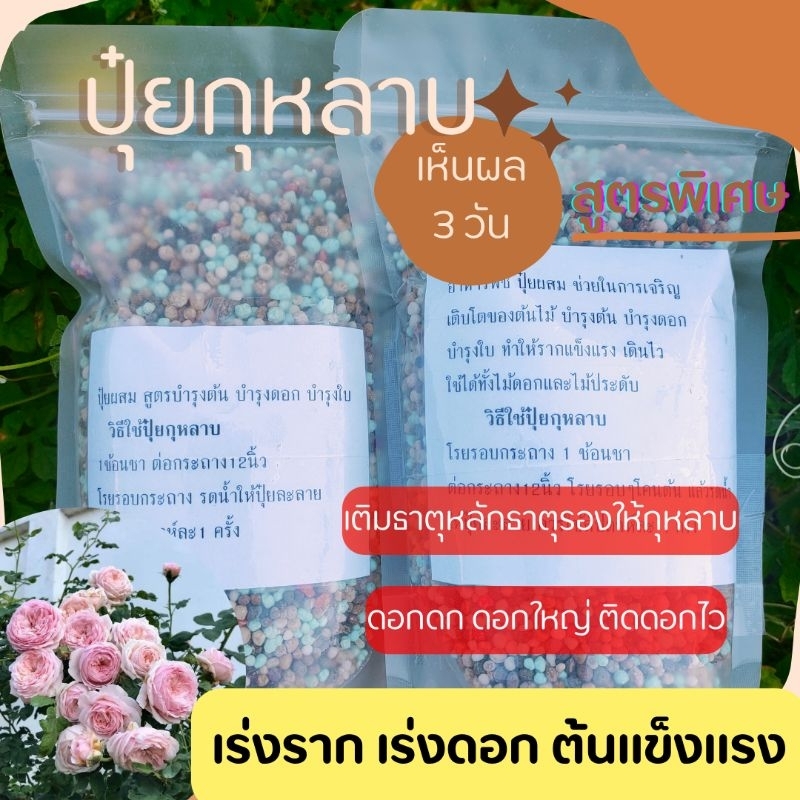 ปุ๋ยกุหลาบ สูตรบำรุง โดยเฉพาะ ต้นใหญ่ บำรุงราก ดอกโต เร่งสี ขนาด 200 กรัม
