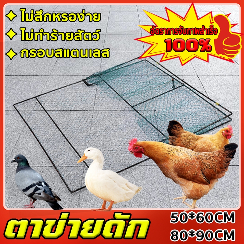 กับดักไก่  กับดักไก่แบบตาข่าย ที่ดักไก่ป่า ไม่ทำร้ายสัตว์ มีสปริง โครงสแตนเลส