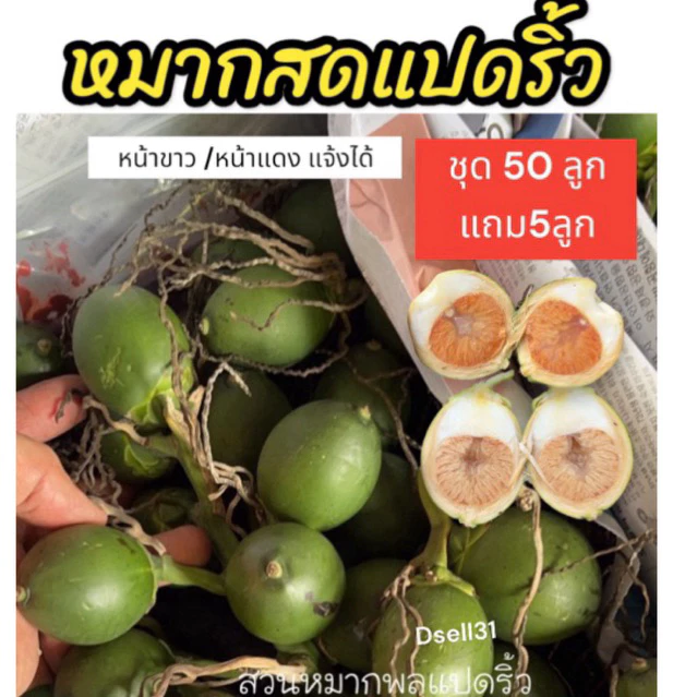 หมาก ชุด 55 ลูก ตัดใหม่จากสวนทุกวัน หมากสด หน้าขาว หรือหน้าแดง หมากแปดริ้ว