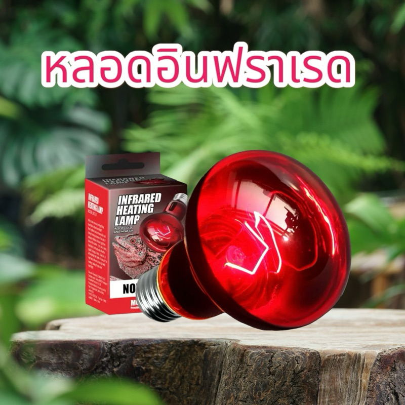 หลอดอินฟราเรด 100w infrared(ND-21)